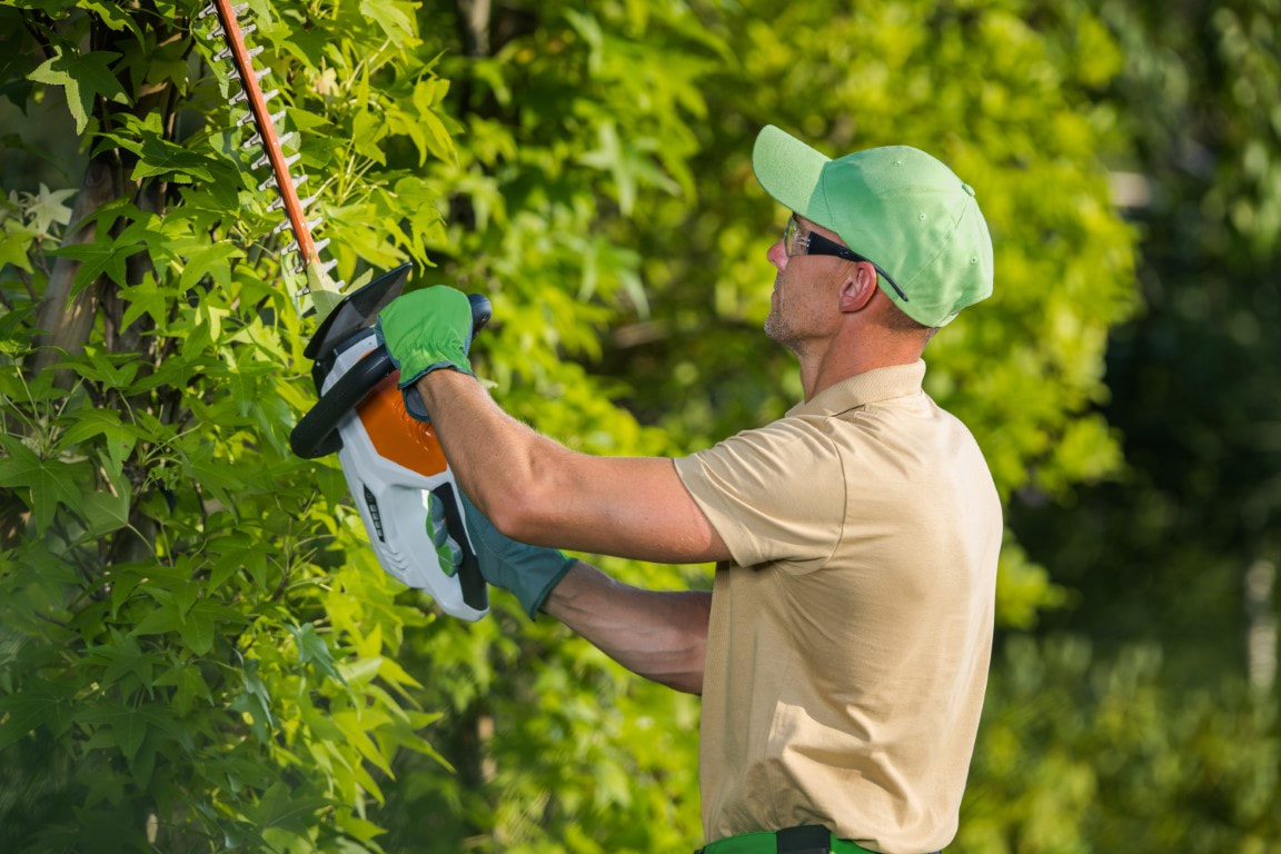 worker performing tree trimming and maintenance